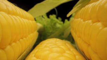 This shows a close-up view of fresh corn cobs with their kernels. The captures the vibrant yellow color of the kernels and the intricate details of the cobs structure. video