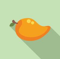 Fresh mango fruit lying with long shadow on green background vector
