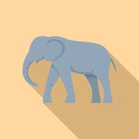 Big grey elephant walking with trunk down and long shadow vector