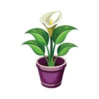 Beautiful Flowerpot Houseplant Illustration vector