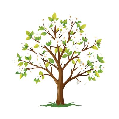Beautiful Single Big Tree Illustration