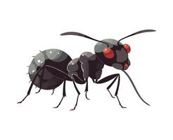 Small ant isolated on white background icon isolated vector