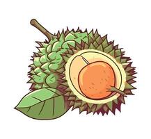 Ripe fruit durian, healthy eating icon isolated vector
