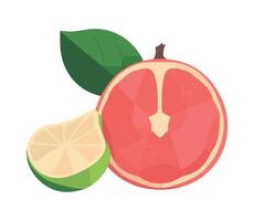 Juicy pomegranate fruit sliced icon isolated vector