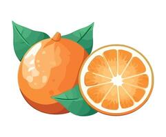 Fresh citrus fruit symbolizes healthy summer refreshment isolated vector