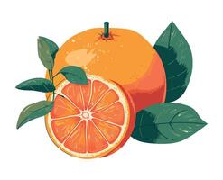 Juicy citrus fruit slice, ripe and fresh isolated vector