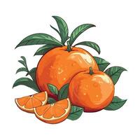 Fresh citrus fruits orange, ripe and juicy slices icon isolated vector