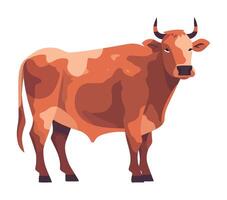 Standing cattle grazing on a rural meadow icon isolated vector