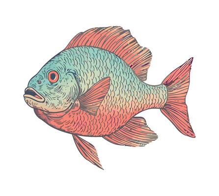 fish swimming animal on white background icon isolated