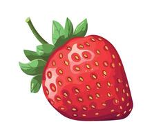 strawberry fruit on white background icon isolated vector
