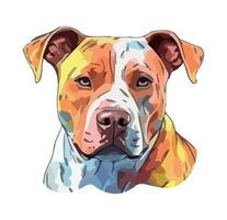 Cute puppy, watching with loyalty Purebred icon isolated vector