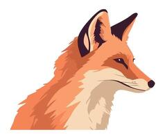 fox on white background icon isolated illustration vector