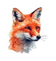 fox abstract portrait icon isolated illustration vector