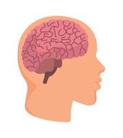 profile brain intelligence illustration isolated vector