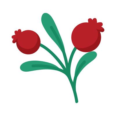 red flowers nature illustration isolated