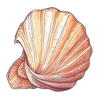 Seashell mollusk on white background icon isolated vector