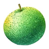 Freshness and health in a juicy fruit icon isolated vector