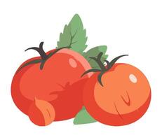 Juicy tomatoes salad, a refreshing lunch icon isolated vector