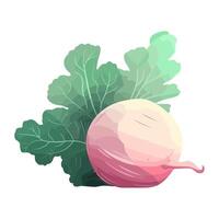 Fresh radish salad, a symbol of healthy eating icon isolated vector