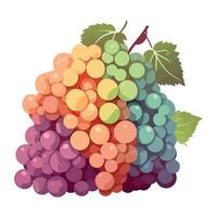Fresh fruit grape bunch and leaf icon isolated vector