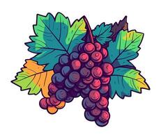 Juicy grape bunch ripe for autumn harvest icon isolated vector