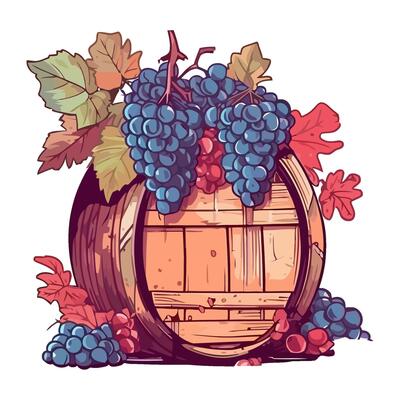 Juicy grape bunches ripe for winemaking season icon isolated