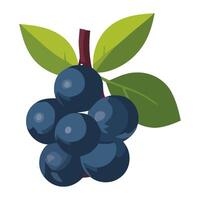 Juicy blueberry bunch, a symbol of refreshment icon isolated vector