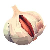 Fresh garlic vegetable, ripe and ready for cooking icon isolated vector