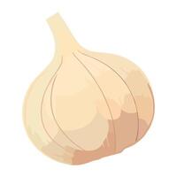 Fresh organic vegetables, ripe garlic seasoning icon isolated vector