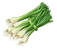 Fresh spring onion vegetables, healthy meal icon isolated vector