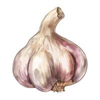 Fresh garlic clove, organic seasoning for healthy eating icon isolated vector