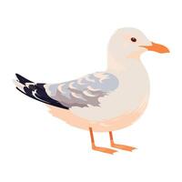 Flying seagull with beak looking for freedom icon isolated vector