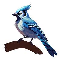 Small blue jay on branch in forest icon isolated vector