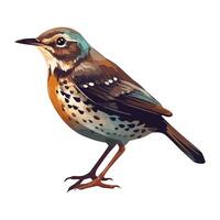 Small spotted songbird perching icon isolated vector