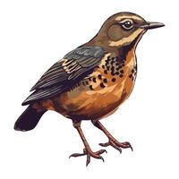 One animal, Small bird icon isolated vector