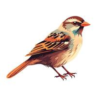 Small cute sparrow perching on white background icon isolated vector