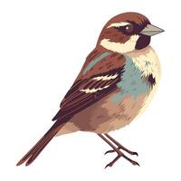 Small sparrow bird cute animal icon isolated vector