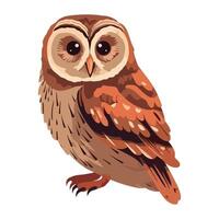 Cute cartoon eagle owl with sharp beak icon isolated vector