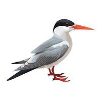 Small bird perching on branch in nature icon isolated vector