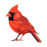 Small red sparrow on white background icon isolated vector