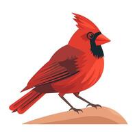 Bright feathered red sparrow perching icon isolated vector