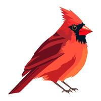 Cute red sparrow bird, flat icon isolated vector