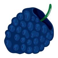 blueberry fresh fruit icon design isolated vector
