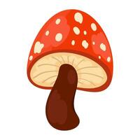 mushroom autumn nature isolated illustration vector