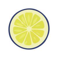 Fresh citrus slices in a circular pattern icon isolated vector