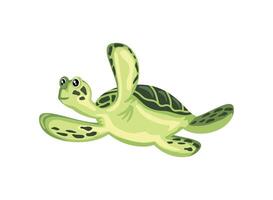 cute turtle icon isolated design white backgroound vector