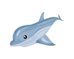 cute dolphin cartoon icon isolated design white backgroound vector