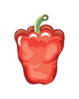 fresh bell pepper vegetable icon isolated white background vector