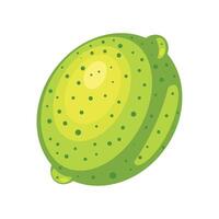 lemon fresh fruit icon isolated vector