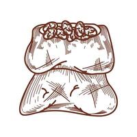 cacao seeds in a sack icon icon isolated vector